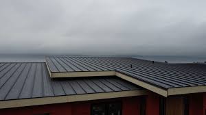 Best Rubber Roofing (EPDM, TPO)  in Carmel, IN